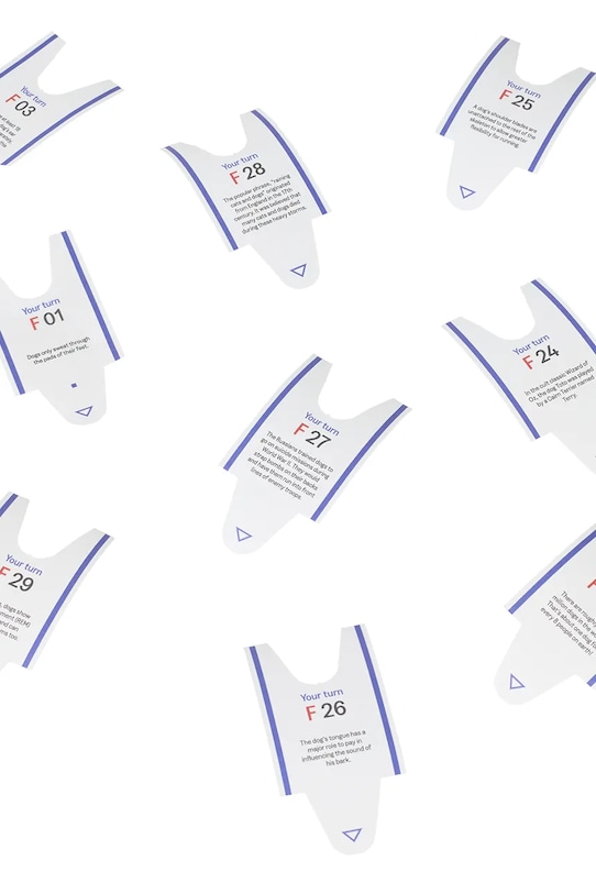 Lifestyle Another Me set de sticky notes 100 Curious Facts, Dogs, English AM100FBODOE multicolor