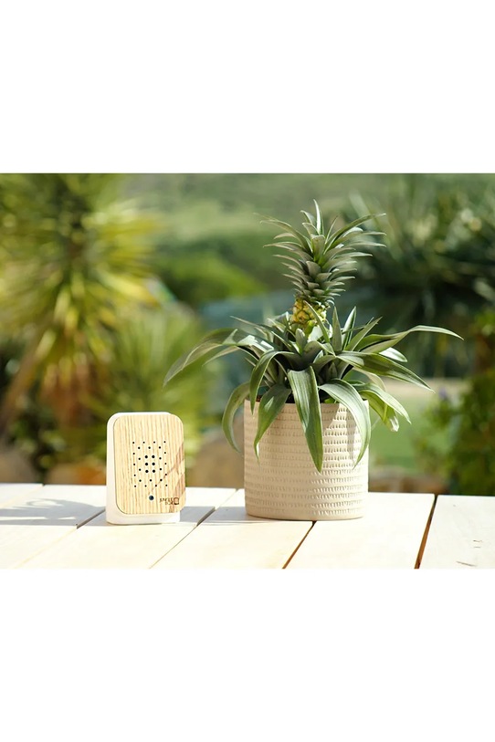 Relaxound głośnik z dźwiękami Junglebox 13 × 16 × 6 cm multicolor 11JGL0201002