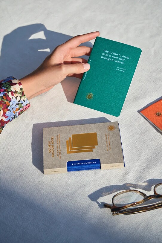 Octaevo zestaw notatników Philosophy Passport Notes Box 3-pack OBPPN.15