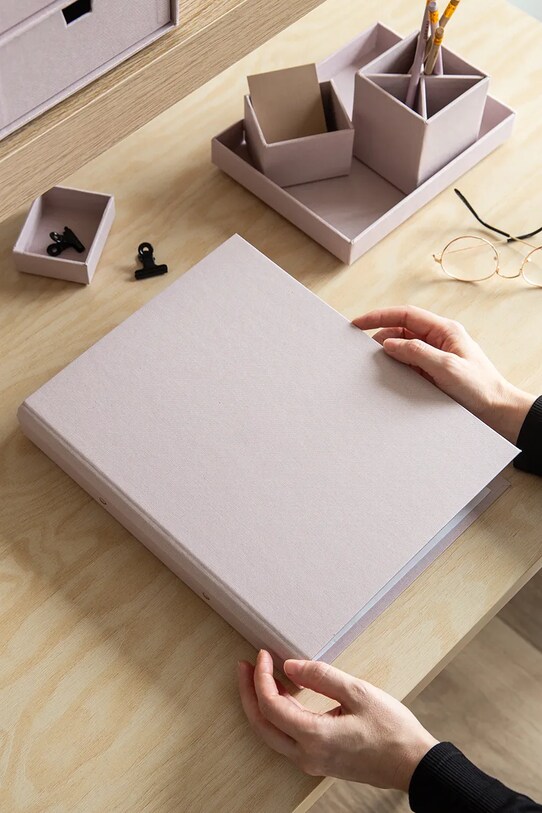 Сегрегатор Bigso Box of Sweden 7961R1380.99 рожевий