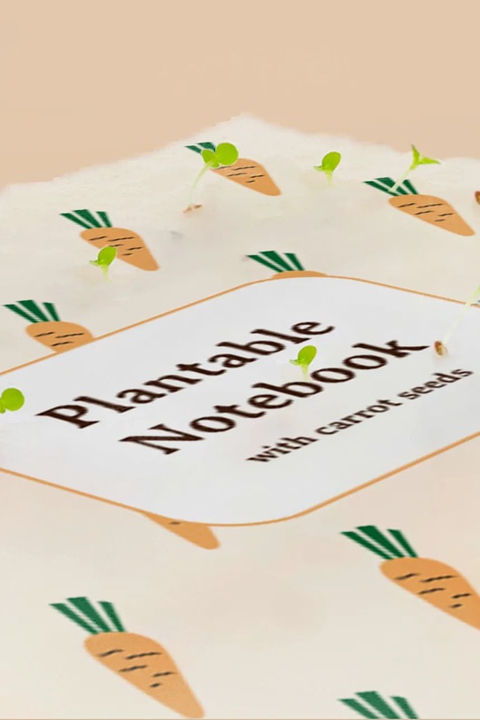 RESETEA notatnik z nasionami marchwi do uprawy 14,8 x 21 cm Erst454 pomarańczowy AA00