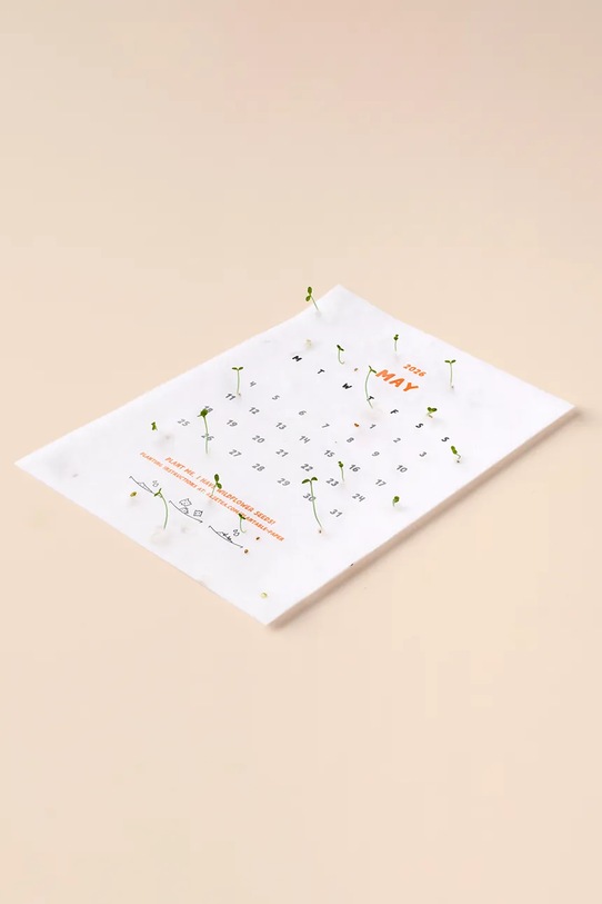 RESETEA kalendarz z nasionami roślin do uprawy Plantable Calendar 10,5 x 15 cm Erst578 multicolor AA00