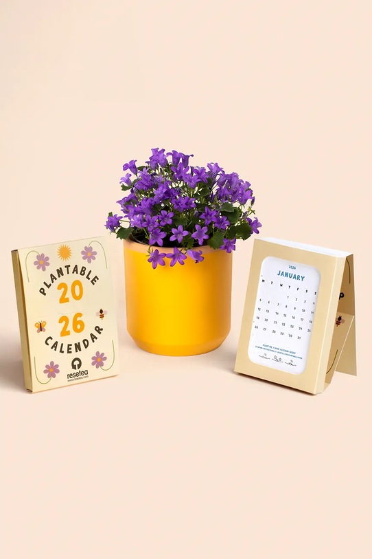 RESETEA kalendarz z nasionami roślin do uprawy Plantable Calendar 10,5 x 15 cm multicolor Erst578
