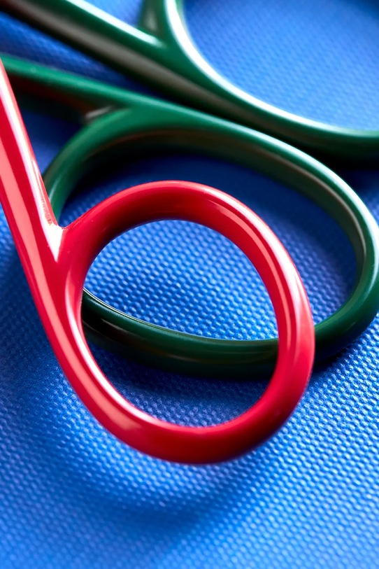 House Doctor nożyczki HDScissors 20,5 x 6 / 15 x 5 cm 2-pack multicolor 261420102