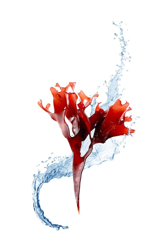 Hydratační maska ufo proti znečištění FOREO Make My Day 7-pack F381M vícebarevná AA00