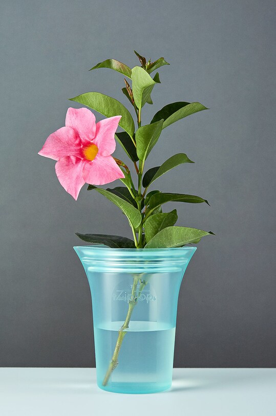 Zip Top recipient pentru gustări Cup Large 0,71 L Z.CUPL.02