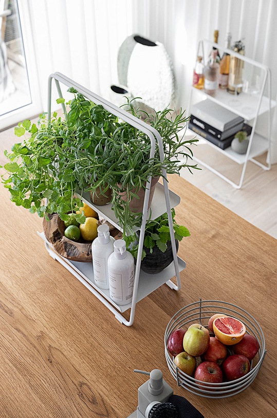 Zone Denmark płyn do mycia naczyń Lemon Launch 23950