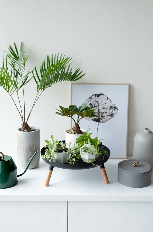 Kuchyňa a bar Podnos Yamazaki Plain 5565. čierna