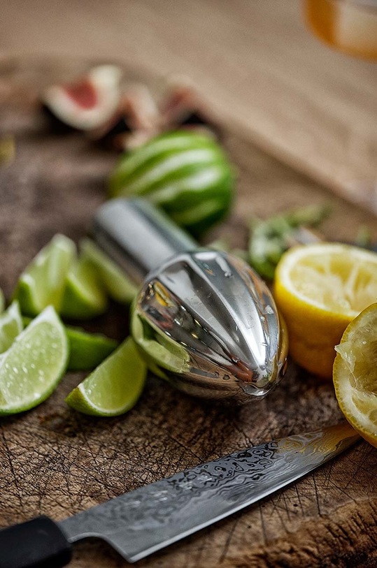 Прес для цитрусових Zone Denmark Rocks 10939