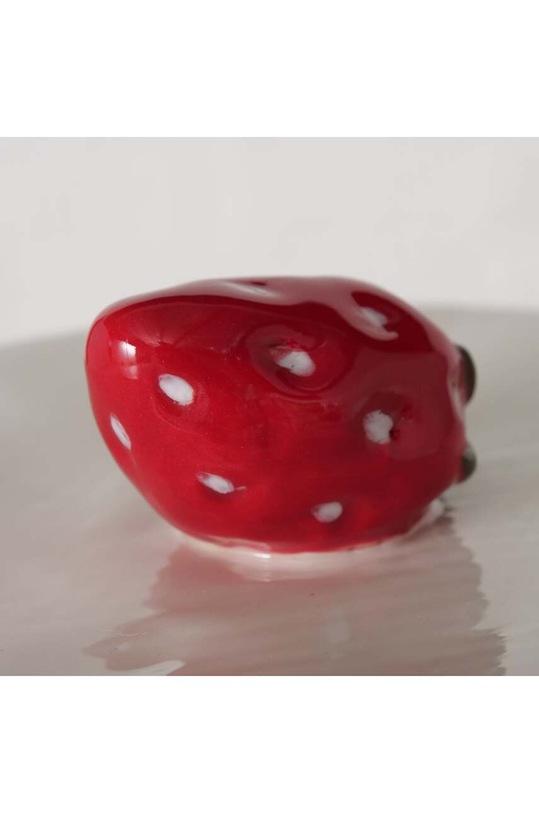 Nádoba s vekom Boltze Strawberry viacfarebná 2043363