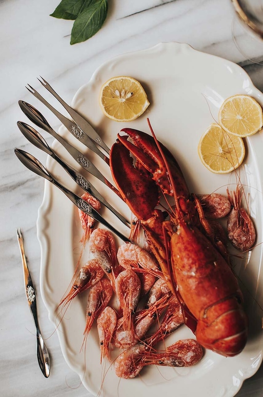 Sada příborů na mořské plody Dorre Skai 6-pack 5..8910 šedá AA00