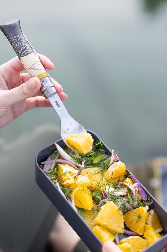 Monbento lunchbox Opiniel 11124092