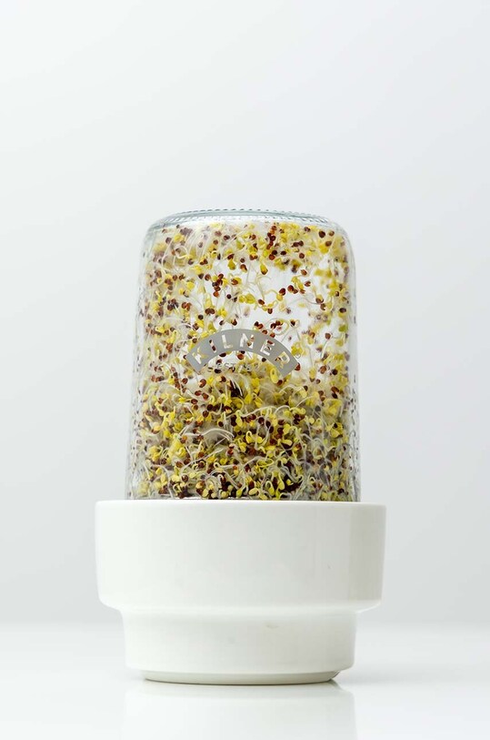 Lifestyle Kilner încolțitor de semințe 0025.082 multicolor