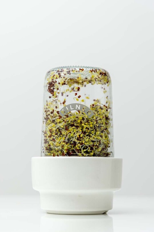 Kilner încolțitor de semințe multicolor 0025.082