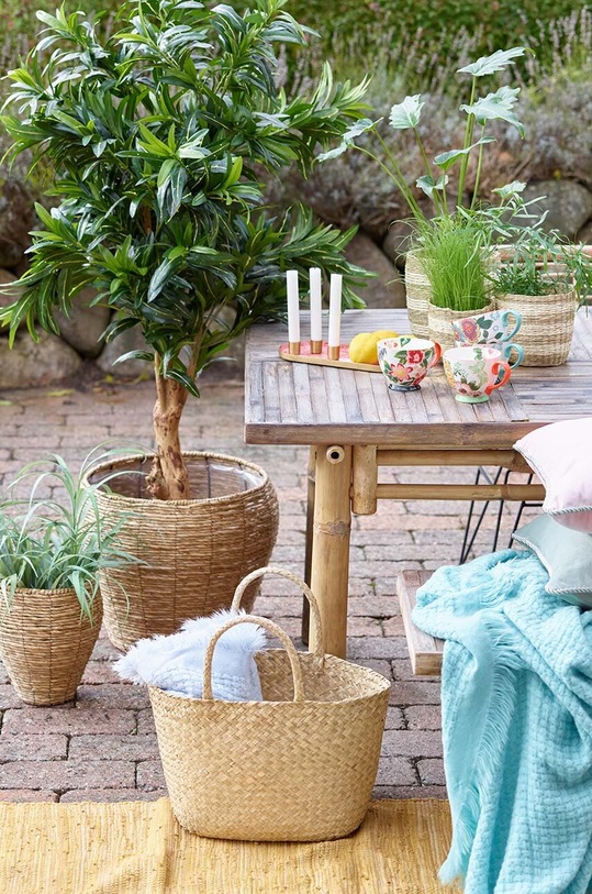 Bahne ceasca multicolor 4976683