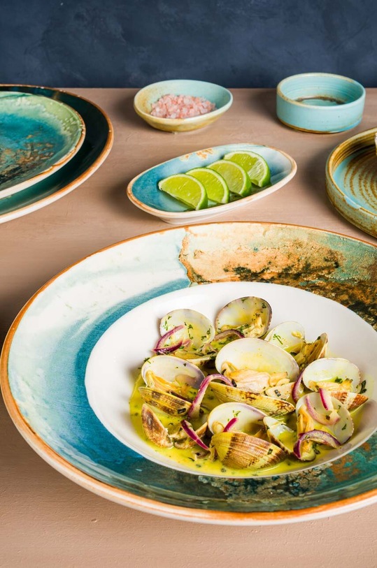 Bonna farfurie Futura Gourmet 21 cm FUTGRM21DZ.