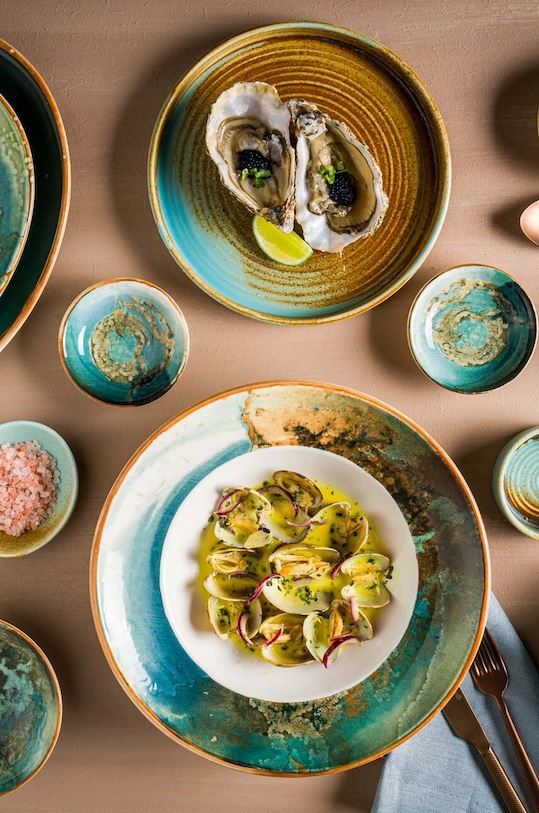 Bonna miska Futura Gourmet 16 cm FUTGRM16KS.