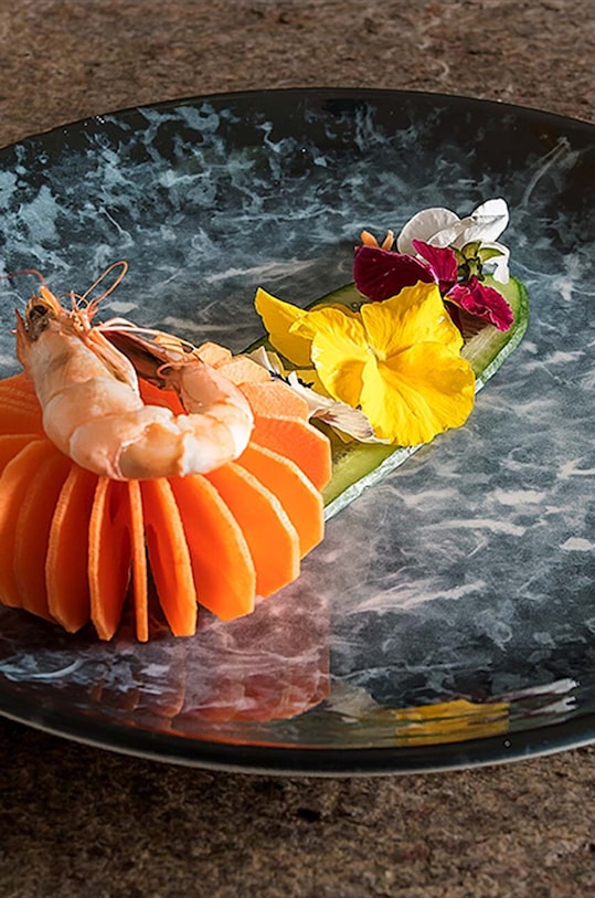 Bonna talerz Sepia Gourmet o 21 cm multicolor SPAGRM21DZ.