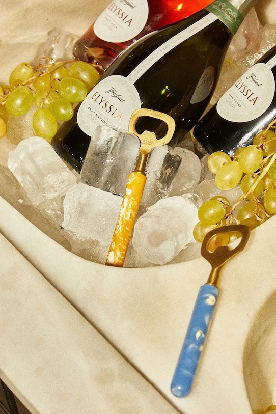 Calma House otwieracz do butelek Mango MANGO.CA15.AZU niebieski