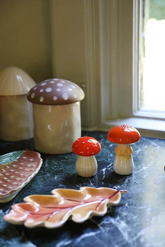 Kuchyňa a bar Soľnička a korenička &k amsterdam Mushroom 1799.16 viacfarebná