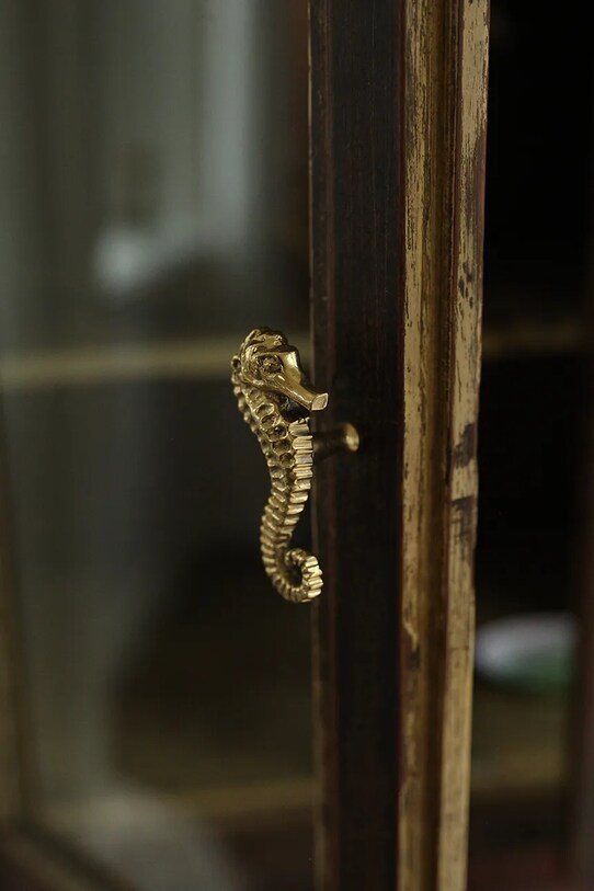 Мебельная ручка Doing Goods Pippa Seahorse Knob 1.10.15.023.923.4 жёлтый