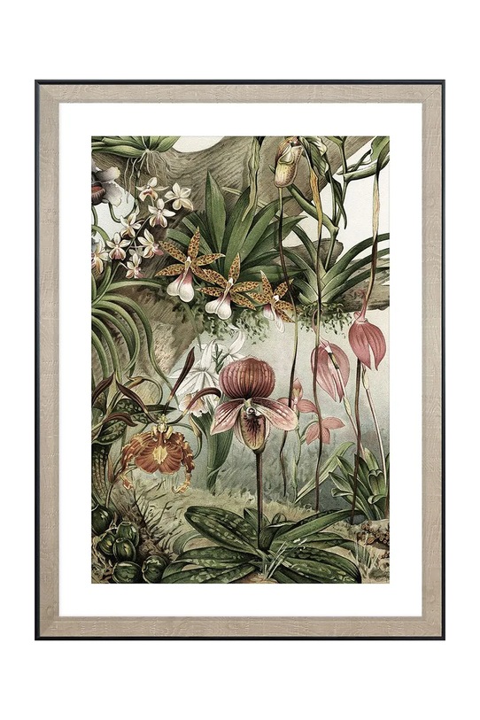 Nástenná dekorácia v ráme home & lifestyle TROPICAL ORCHIDS 50 x 70 cm viacfarebná 1541211.23107