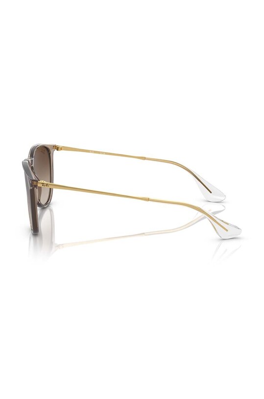 Ray-Ban sunglasses brown 0RB4171