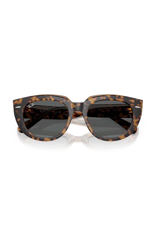 Ray-Ban sunglasses 0RB2286 brown