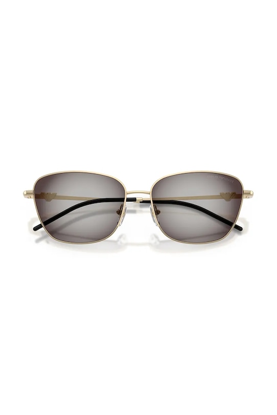 Солнцезащитные очки Emporio Armani 0EA2170