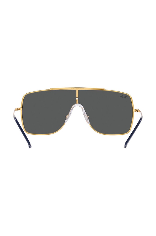 Ray-Ban sunglasses 0RB3697