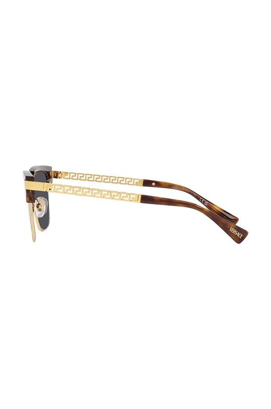 Γυαλιά ηλίου Versace 0VE4447 καφέ