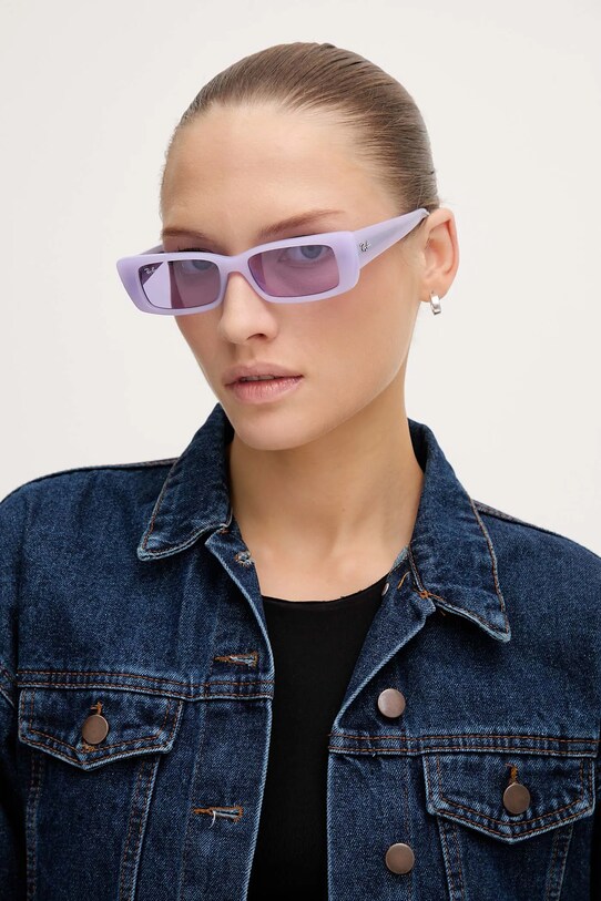 Doplňky Sluneční brýle Ray-Ban TERU 0RB4425 fialová