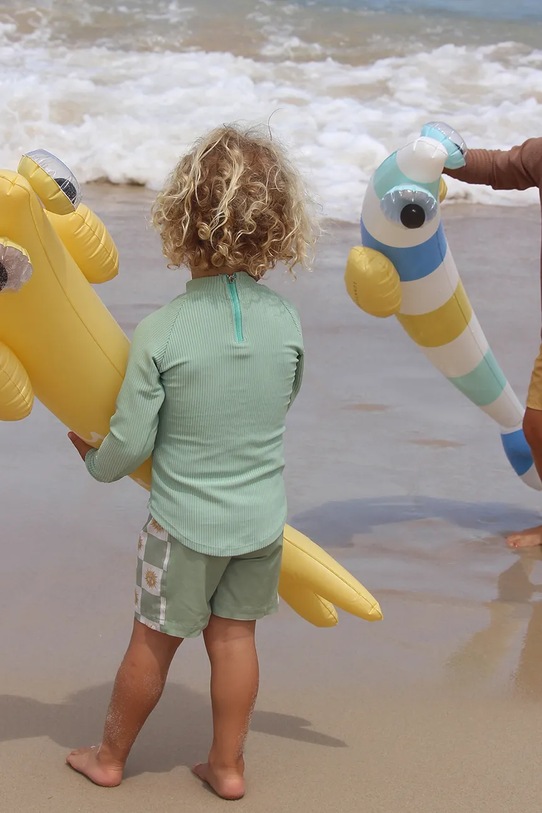 Plavecké pěnové tyče SunnyLife Finn the Fish Multi 2-pack S51KNMUL