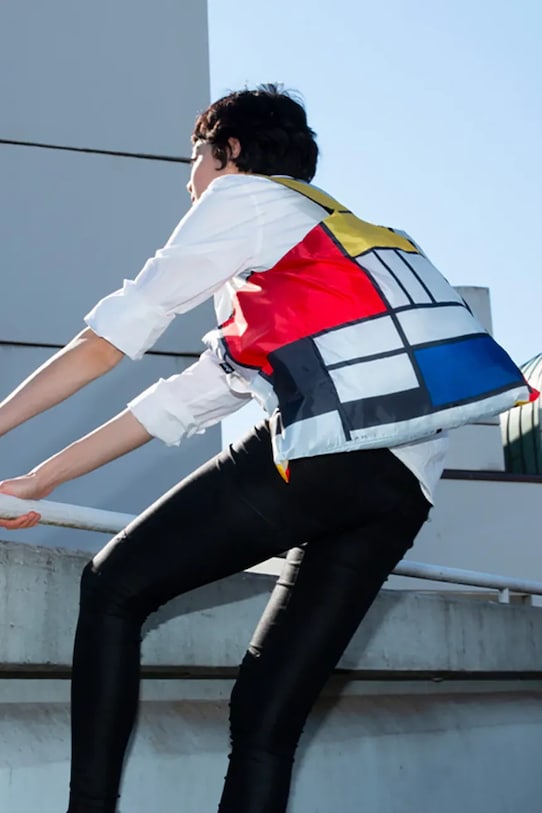 Аксессуары Сумка для ручной клади LOQI Piet Mondrian Q.PM.CO.R мультиколор