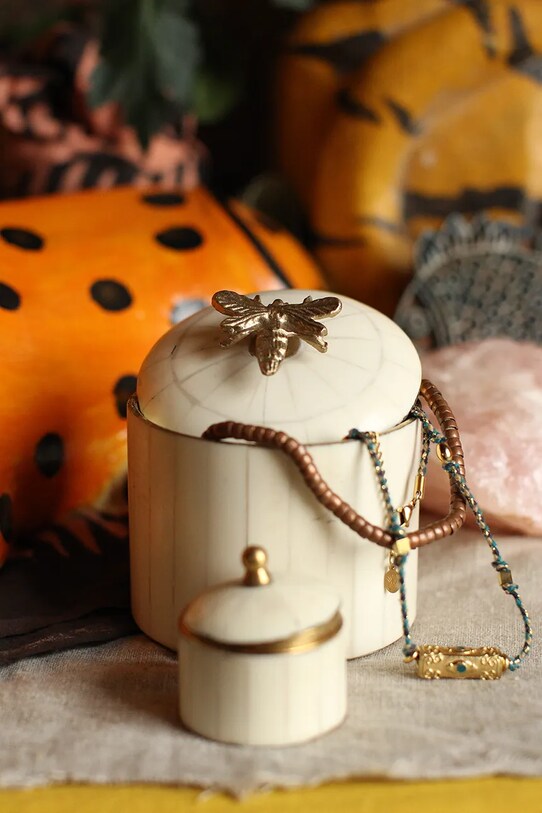 Вітальня та спальня Контейнер з кришкою Doing Goods Queen Bee Circus Box 1.20.21.014.002.4 барвистий