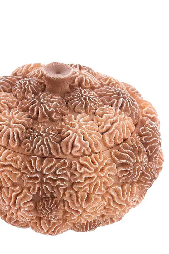 Light & Living pudełko do przechowywania 17 x 16 cm 5741282 pomarańczowy AA00