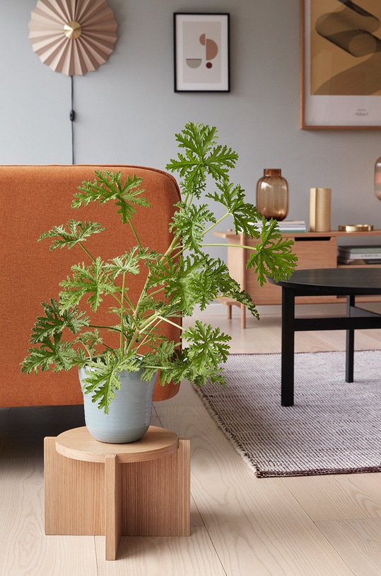 Hübsch Настенный светильник 991310