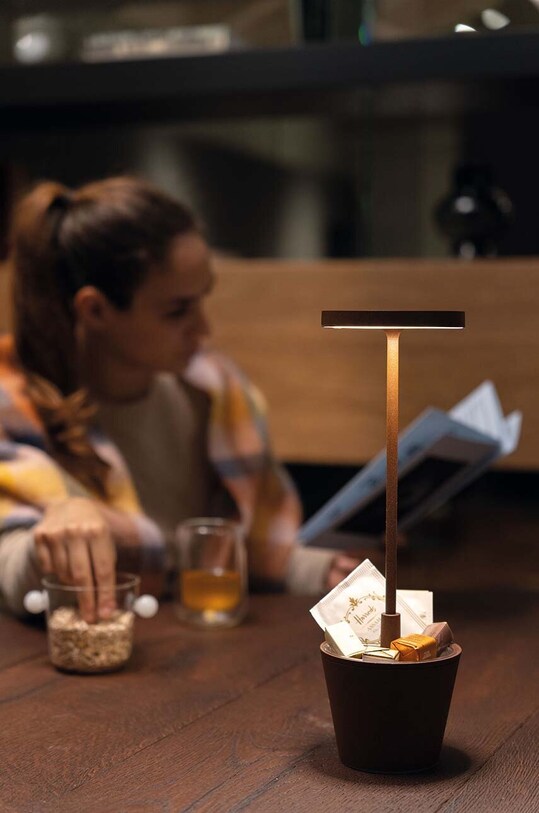 Bezdrôtová led stolná lampa Zafferano Paldina Reverso LD0420R3 hnedá