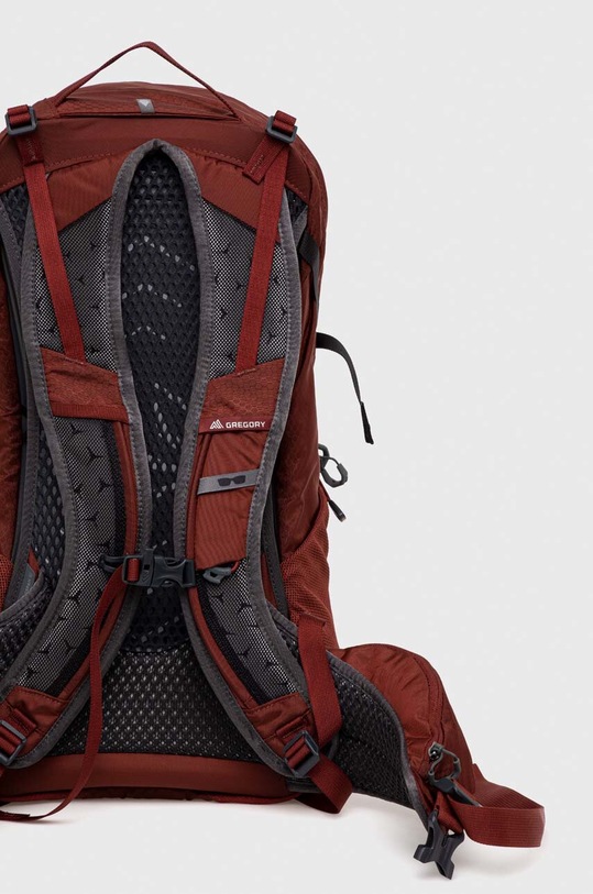 Akcesoria Gregory plecak Citro 24 CITRO.24 bordowy