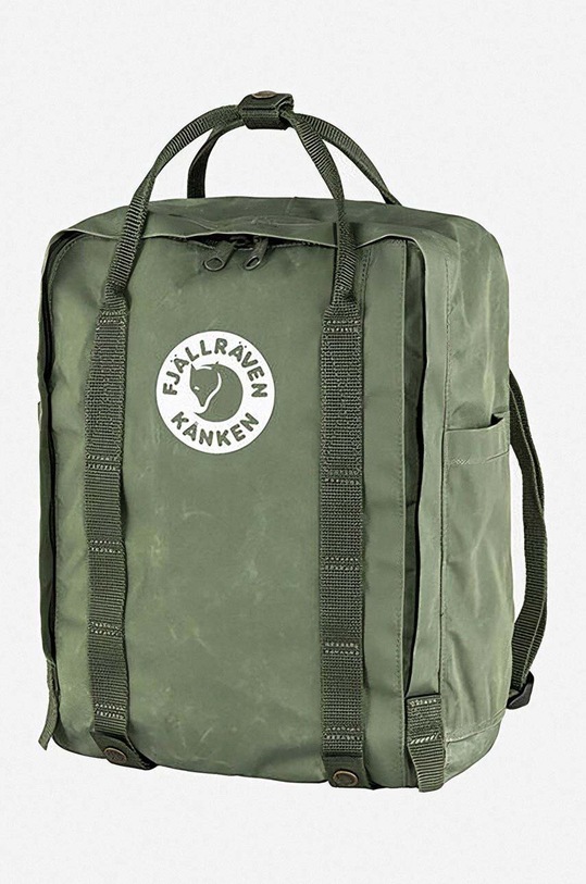 Accessories Fjallraven backpack Tree-Kanken F23511.627 green