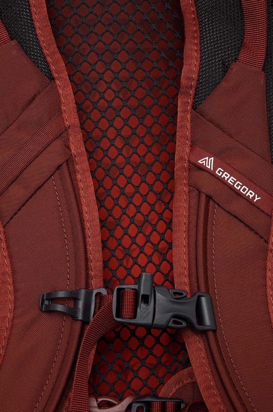 Σακίδιο πλάτης Gregory Arrio 24 κόκκινο ARRIO.24