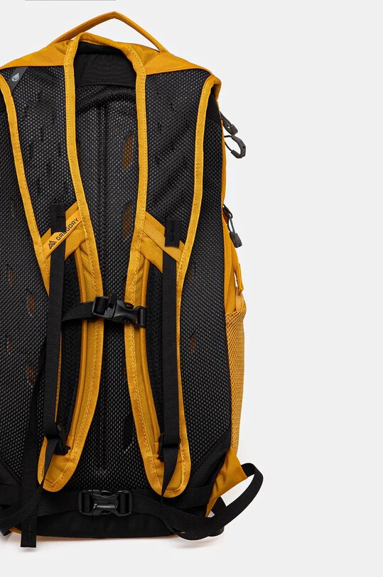 Dodaci Ruksak Gregory Nano 20 NANO.20 zlatna
