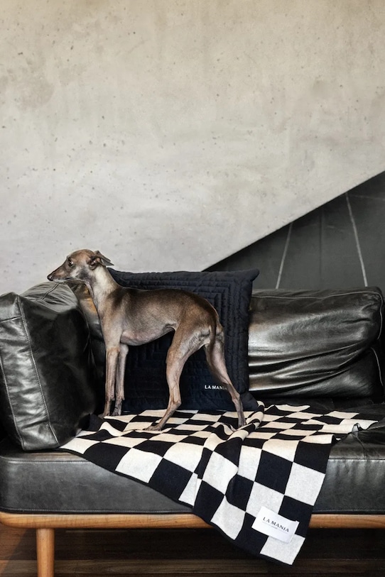 Salon i sypialnia La Mania koc dla pupila Lungo 80 x 80 cm 5905549433201 multicolor