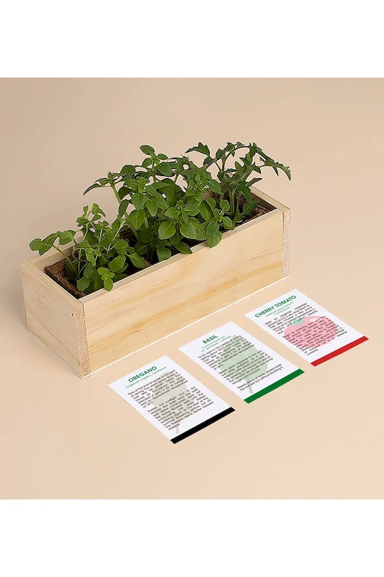 Lifestyle RESETEA zestaw do uprawy roślin Pizza Growing Kit 21 x 7,8 x 6,5 cm Erst162 multicolor