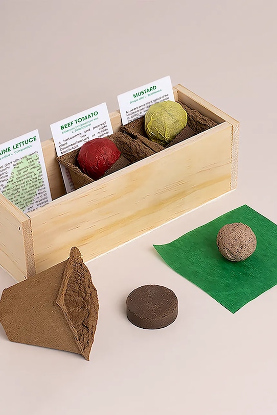 RESETEA zestaw do uprawy roślin Hamburger Growing Kit 21 x 7,8 x 6,5 cm Erst170 multicolor AA00