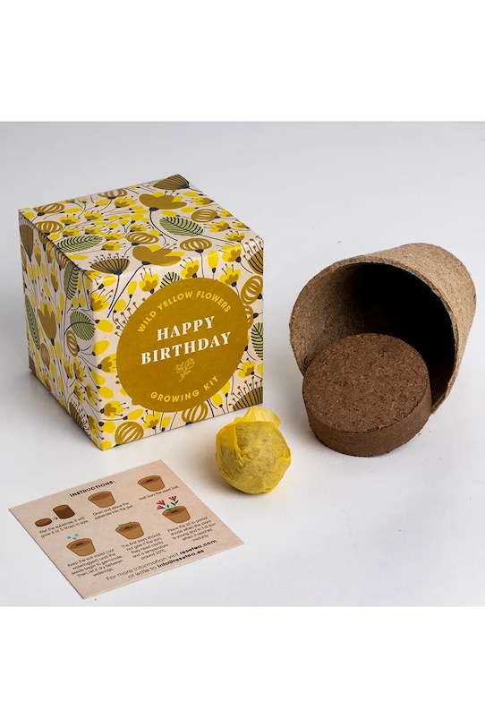 RESETEA zestaw do uprawy kwiatów Say it with Flowers Growing Kit 8,8 x 8,8 x 8,8 cm Erst173 multicolor AA00