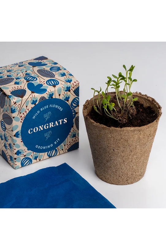 RESETEA zestaw do uprawy kwiatów Say it with Flowers Growing Kit 8,8 x 8,8 x 8,8 cm multicolor Erst172