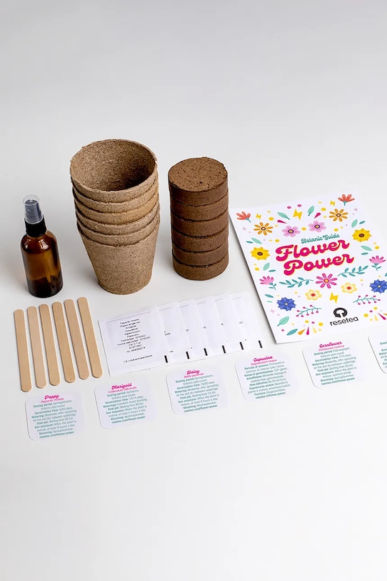 RESETEA zestaw do uprawy kwiatów Flower Power 26,5 x 10 x 16 cm Erst505 multicolor AA00