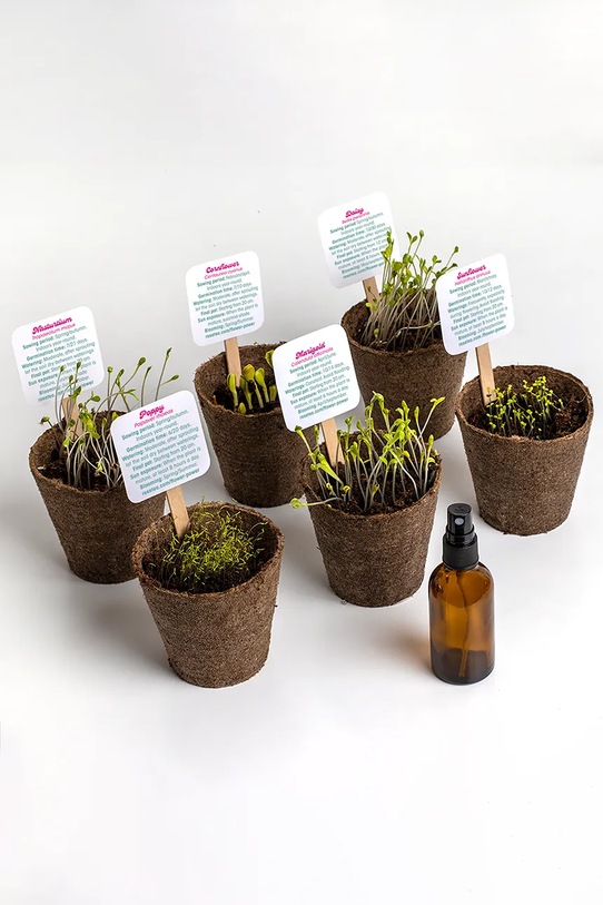 Lifestyle RESETEA zestaw do uprawy kwiatów Flower Power 26,5 x 10 x 16 cm Erst505 multicolor