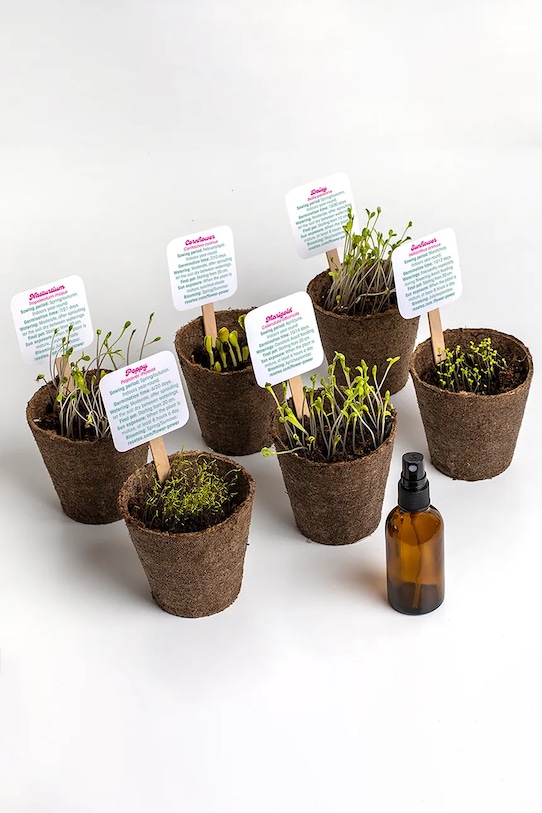 Lifestyle RESETEA zestaw do uprawy kwiatów Flower Power 26,5 x 10 x 16 cm Erst505 multicolor